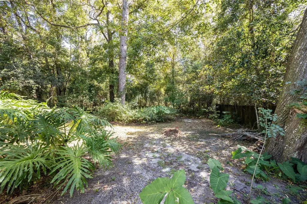 749 NW 34th Street Gainesville FL 32607