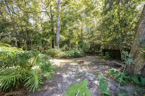 749 NW 34th Street Gainesville FL 32607