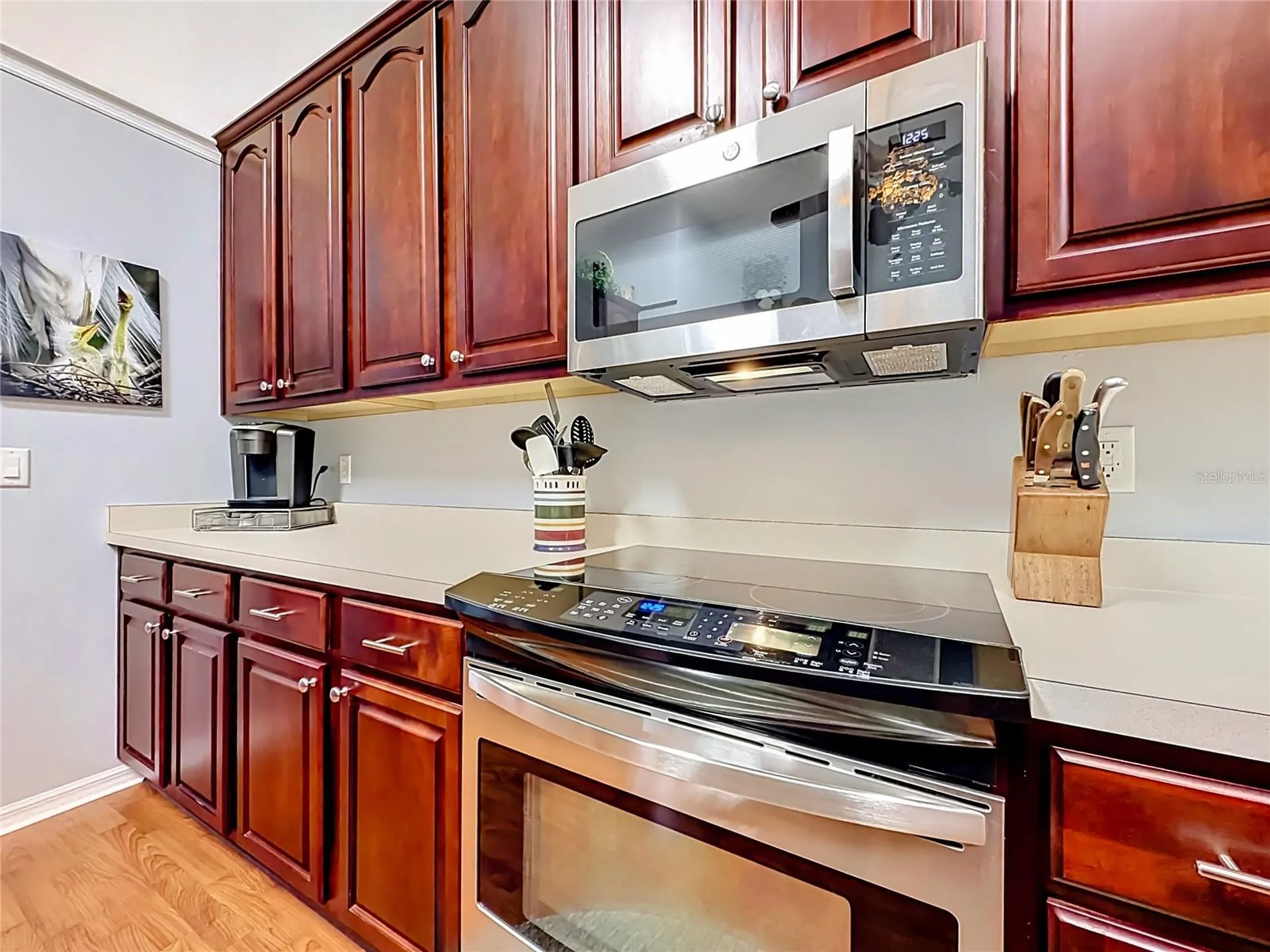 10445 SE 42nd Terrace Belleview FL 34420