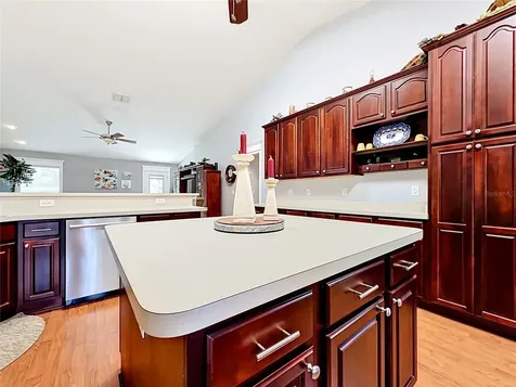 10445 SE 42nd Terrace Belleview FL 34420