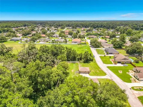 10445 SE 42nd Terrace Belleview FL 34420