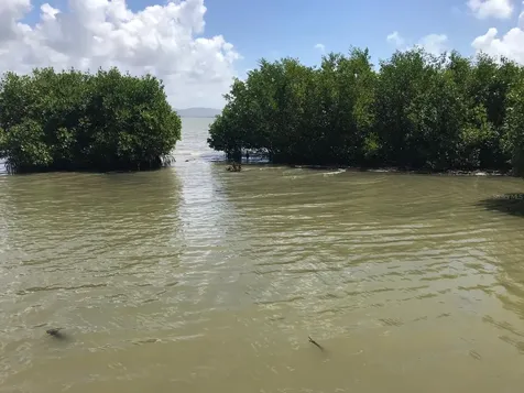 1 Pr-335 Km 10.3 Bo. Indios Guayanilla PR 00656