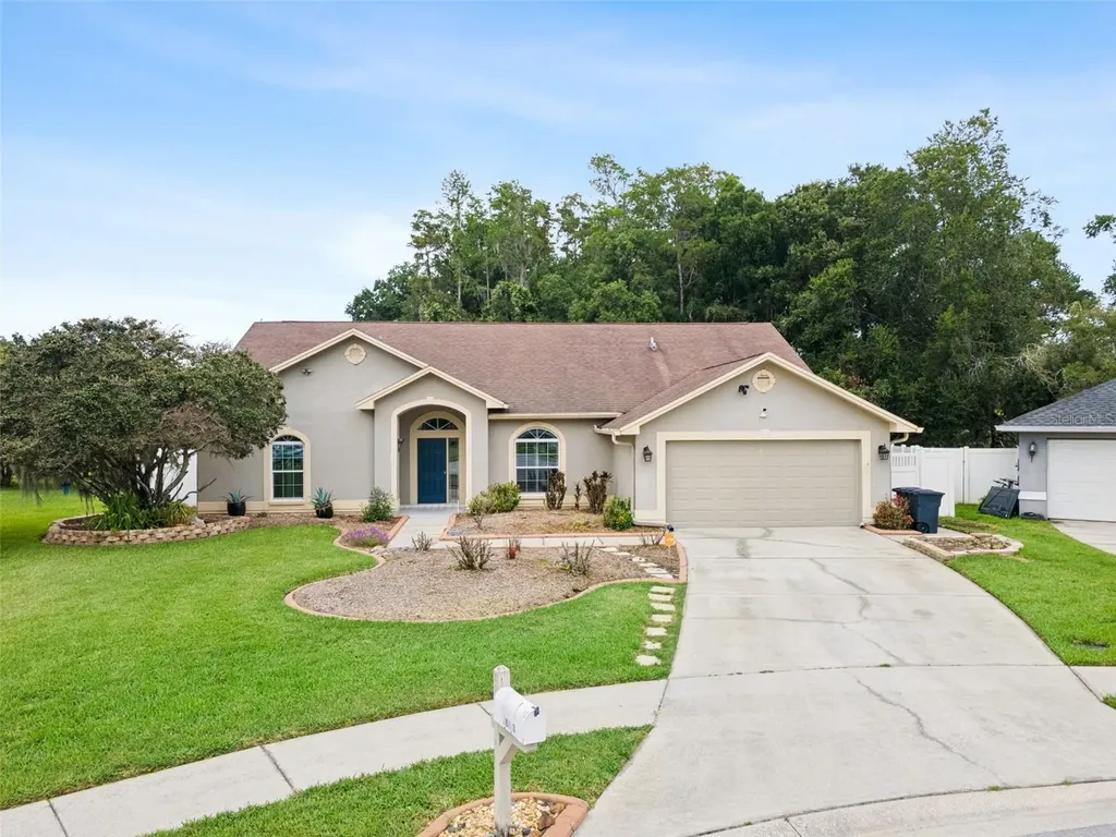 26203 Corkwood Court Land O Lakes FL 34639