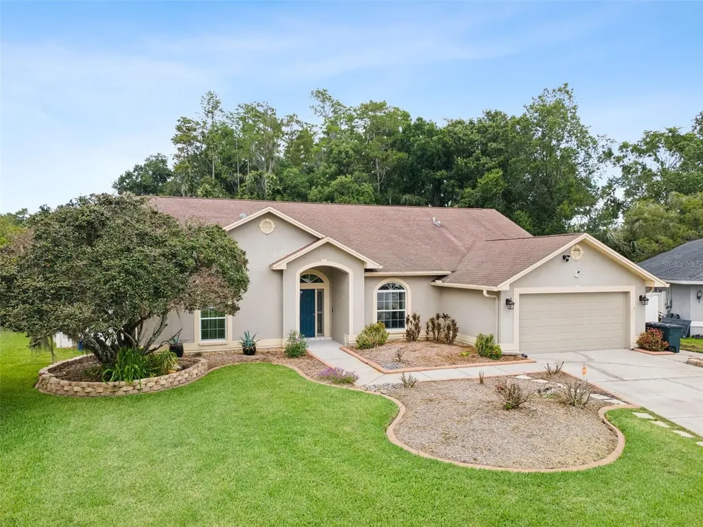 26203 Corkwood Court Land O Lakes FL 34639