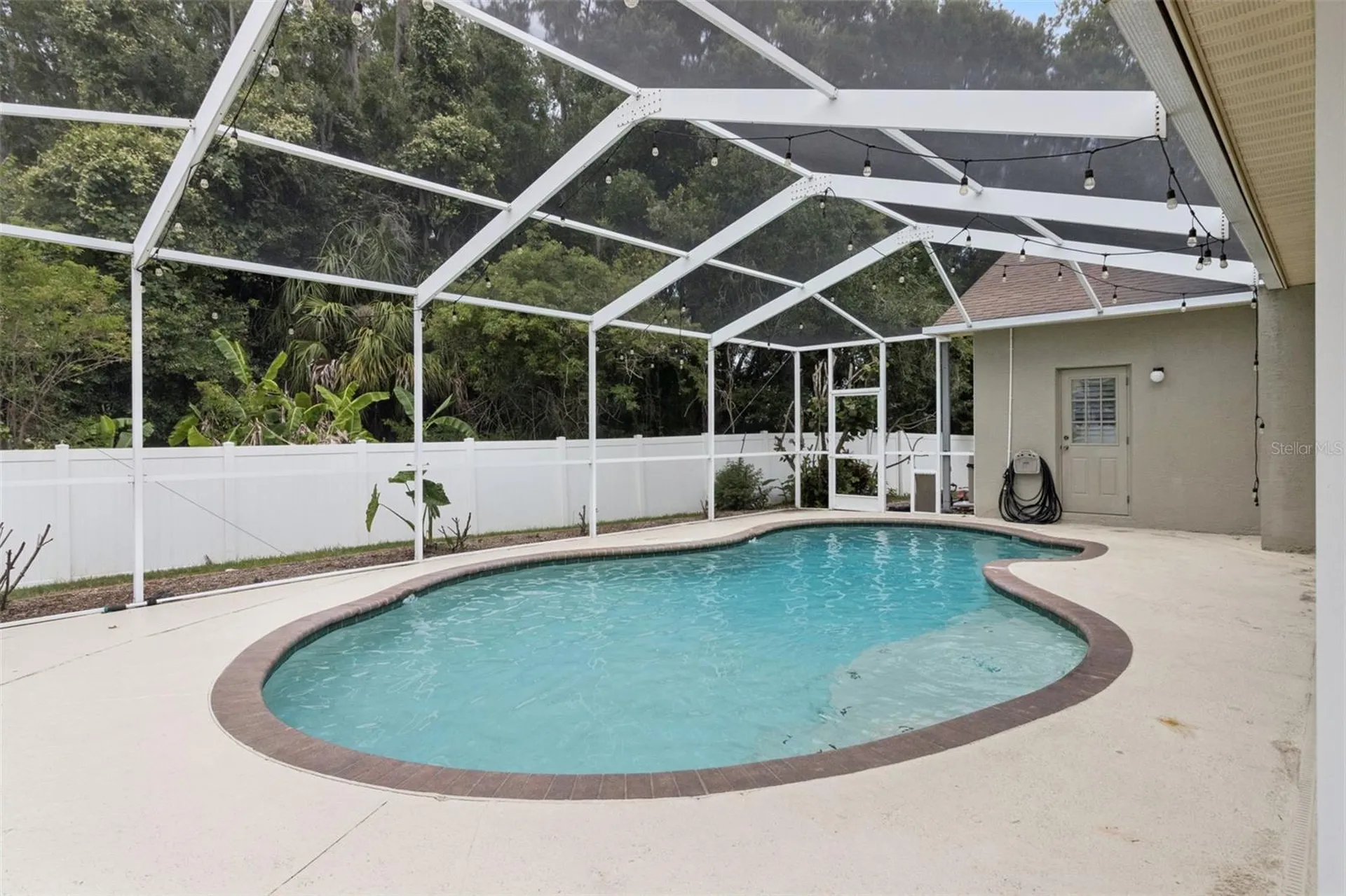 26203 Corkwood Court Land O Lakes FL 34639