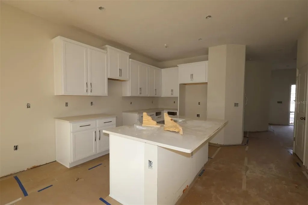 466 Lady Palm Street Apopka FL 32703