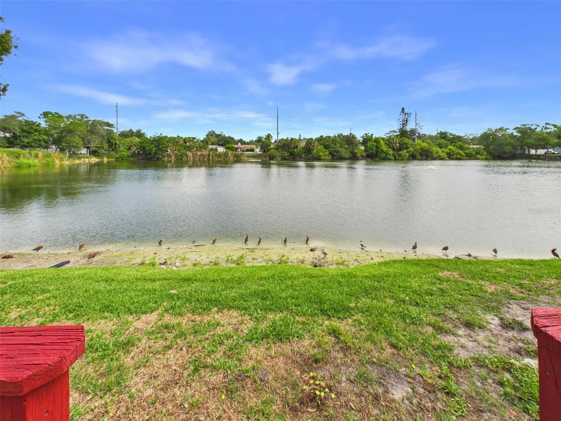3357 W Wyoming Circle Tampa FL 33611