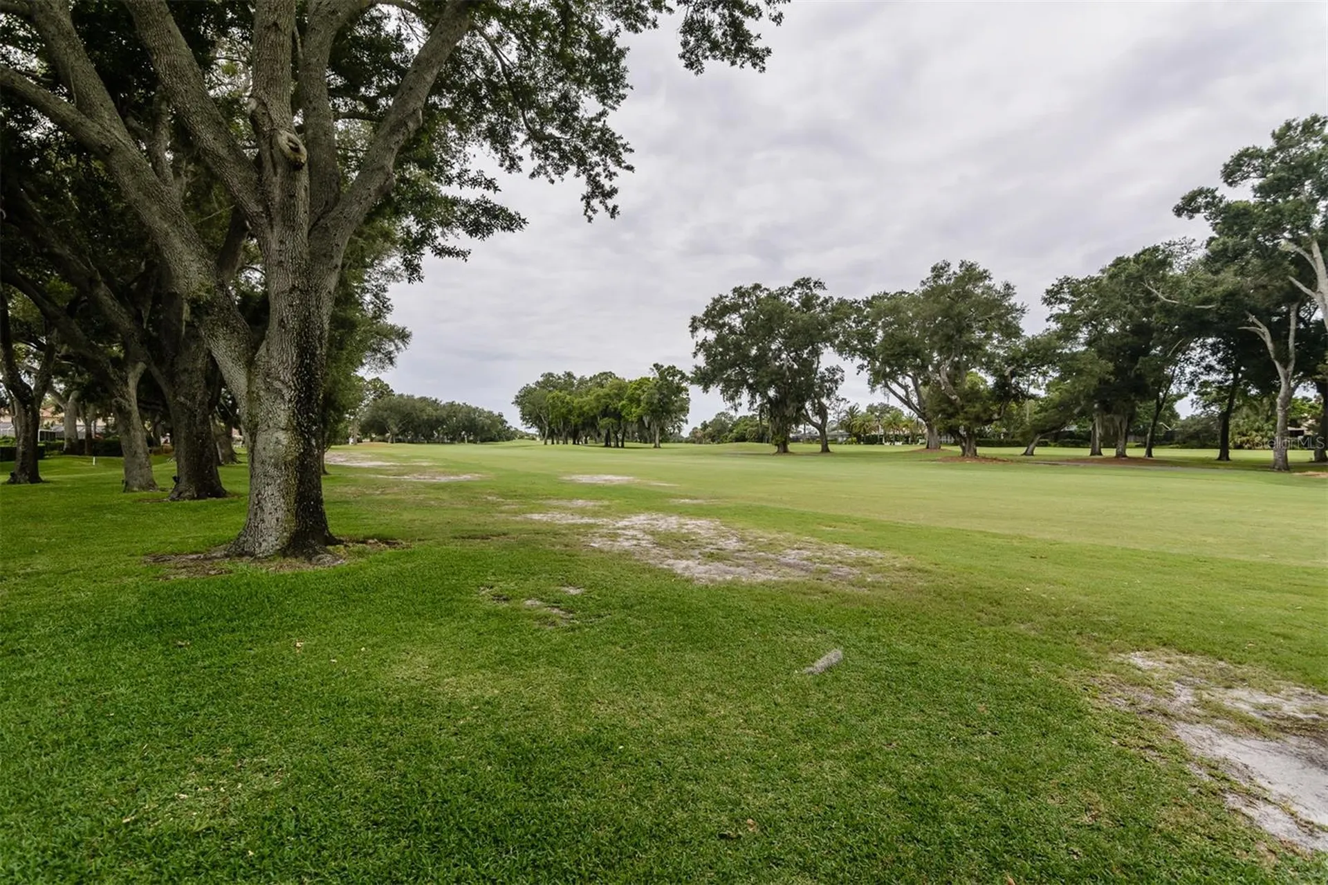 3230 Sandy Ridge Drive Clearwater FL 33761