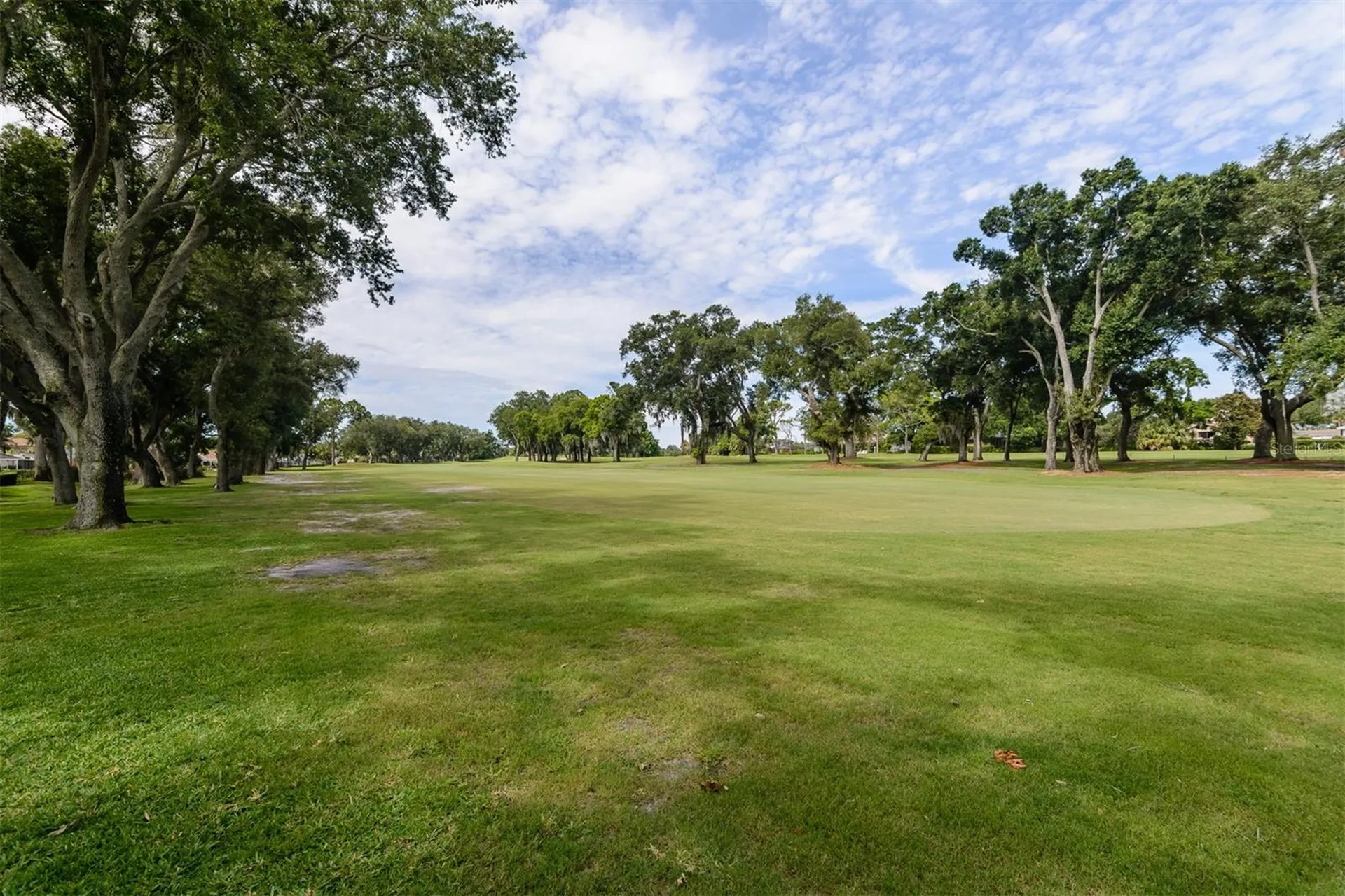 3230 Sandy Ridge Drive Clearwater FL 33761