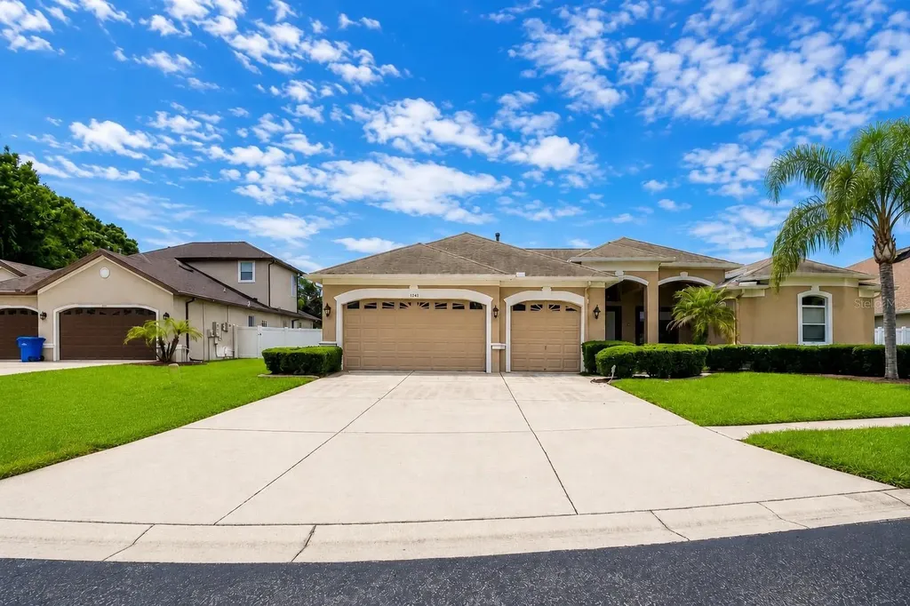 1341 Salmonberry Street Wesley Chapel FL 33543