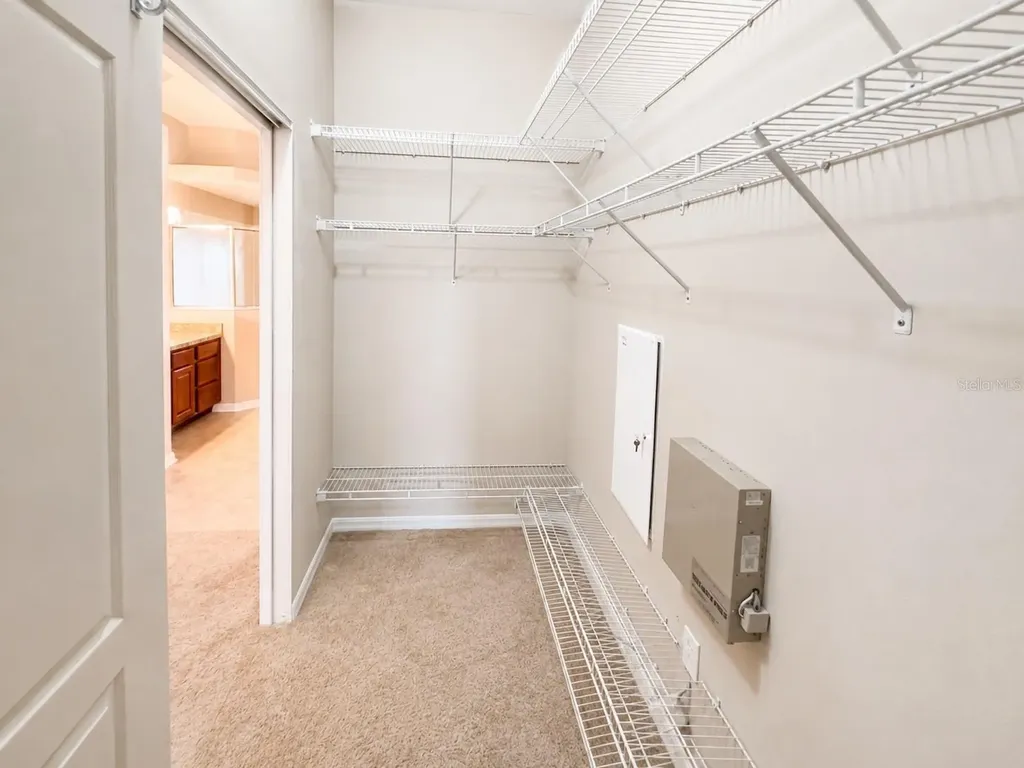 1341 Salmonberry Street Wesley Chapel FL 33543