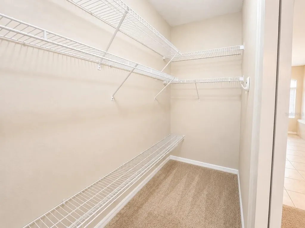 1341 Salmonberry Street Wesley Chapel FL 33543