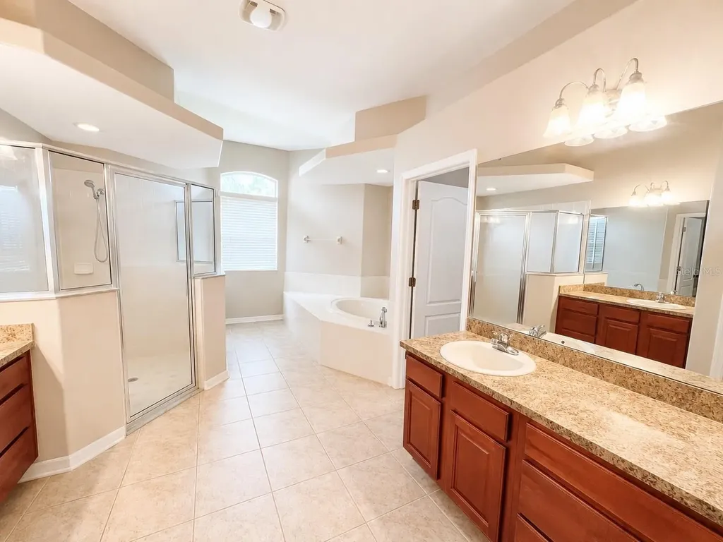 1341 Salmonberry Street Wesley Chapel FL 33543