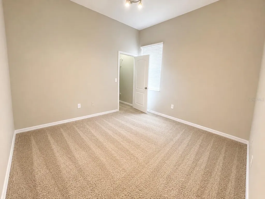 1341 Salmonberry Street Wesley Chapel FL 33543
