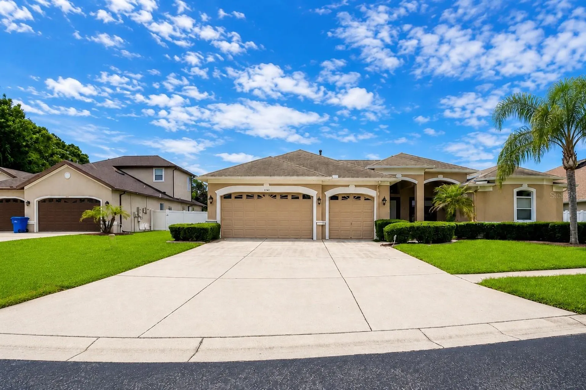 1341 Salmonberry Street Wesley Chapel FL 33543