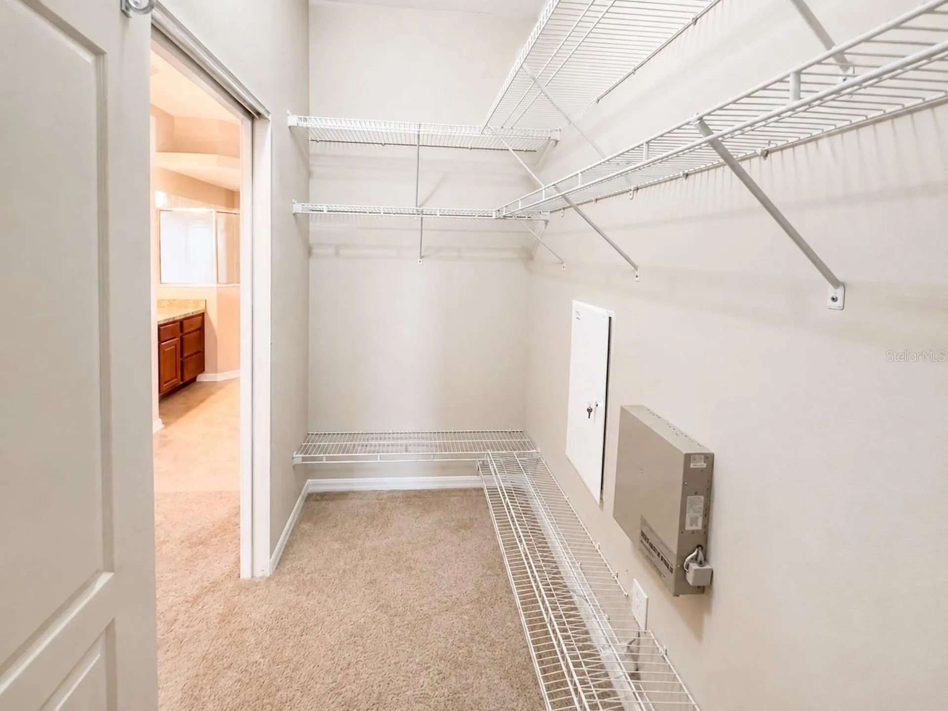 1341 Salmonberry Street Wesley Chapel FL 33543