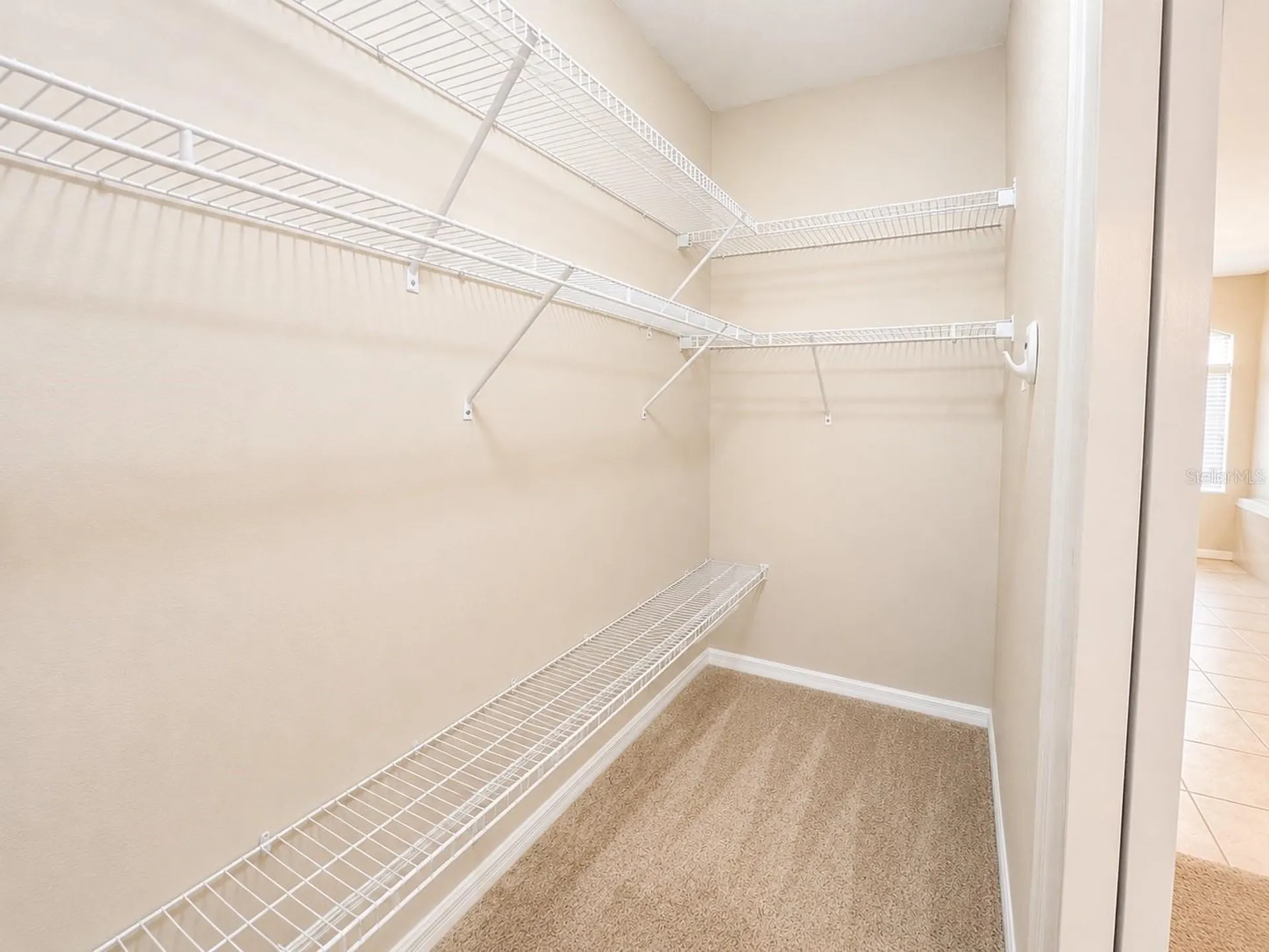 1341 Salmonberry Street Wesley Chapel FL 33543