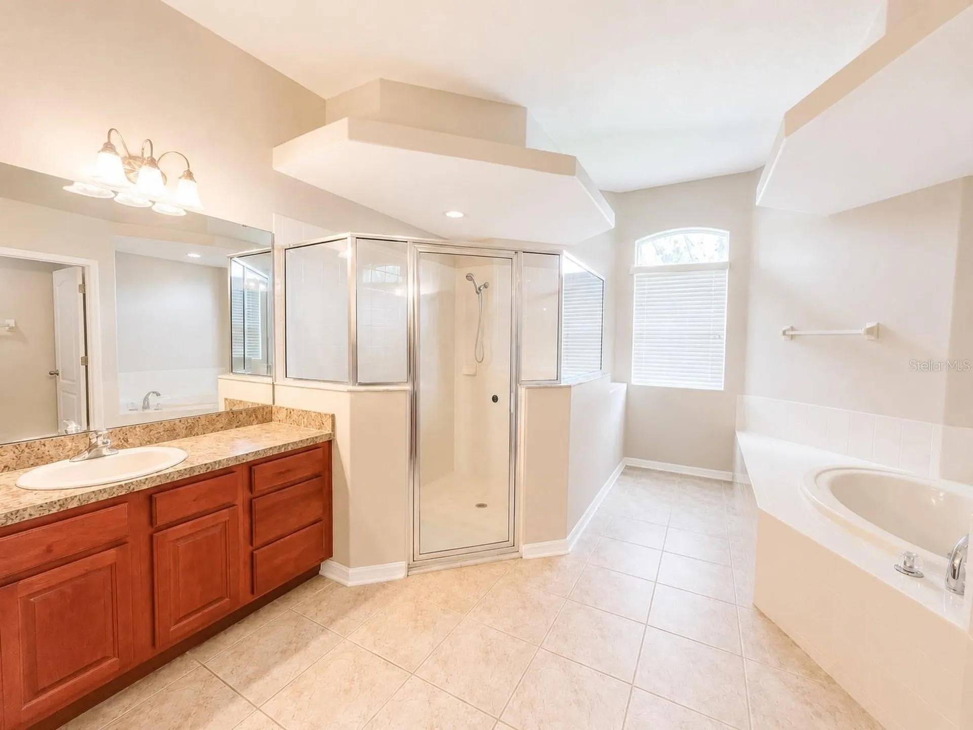 1341 Salmonberry Street Wesley Chapel FL 33543