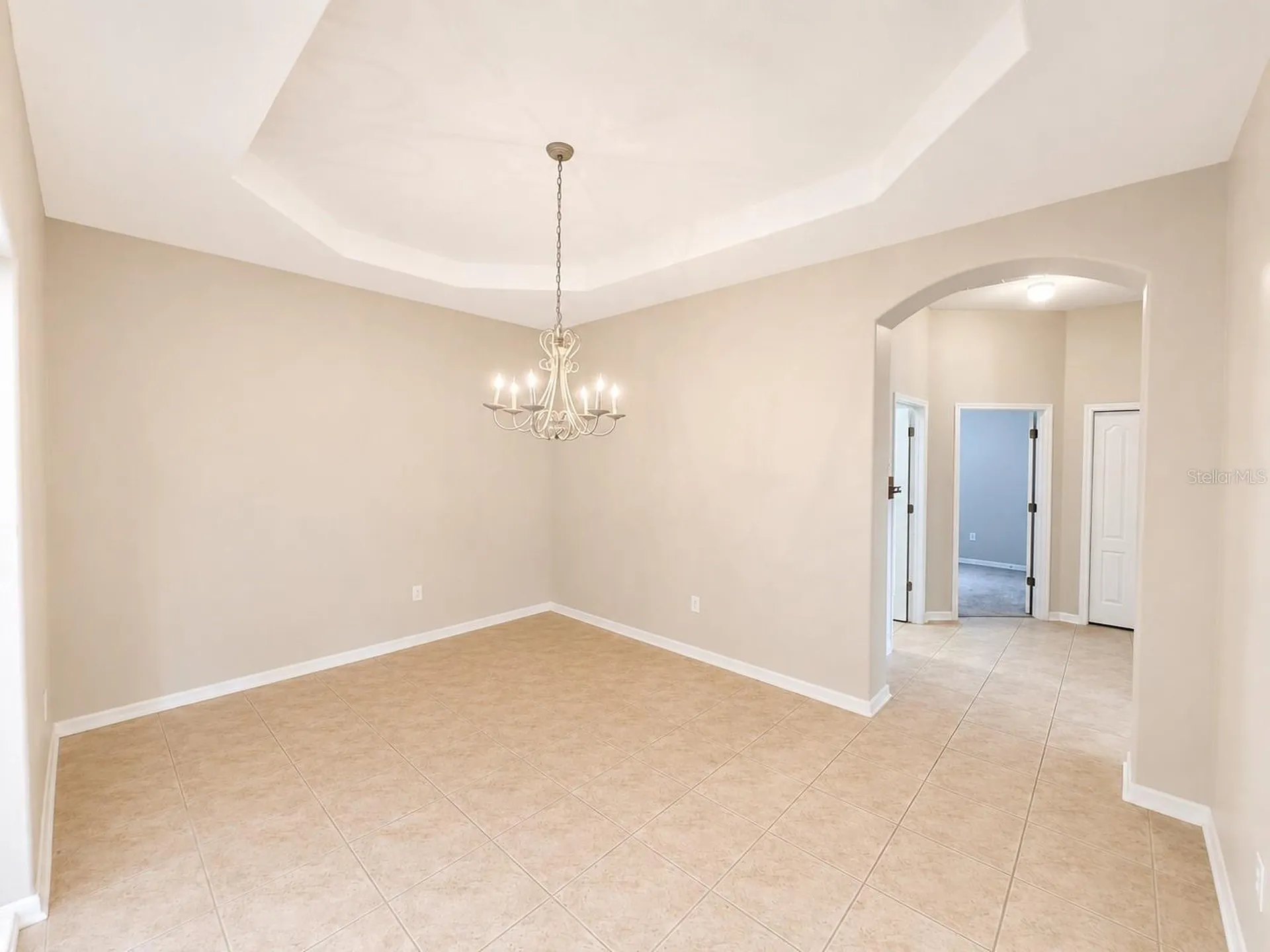 1341 Salmonberry Street Wesley Chapel FL 33543