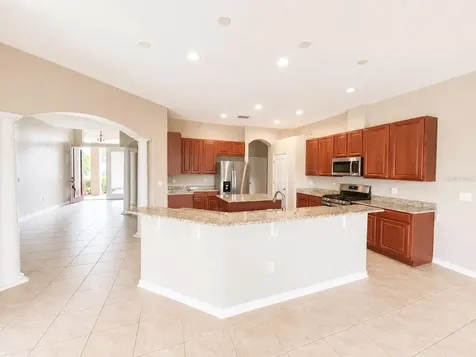 1341 Salmonberry Street Wesley Chapel FL 33543