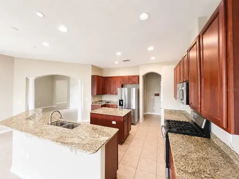 1341 Salmonberry Street Wesley Chapel FL 33543