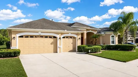 1341 Salmonberry Street Wesley Chapel FL 33543