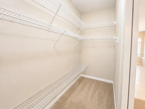 1341 Salmonberry Street Wesley Chapel FL 33543