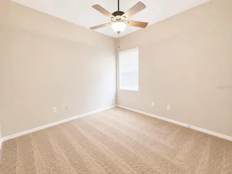 1341 Salmonberry Street Wesley Chapel FL 33543