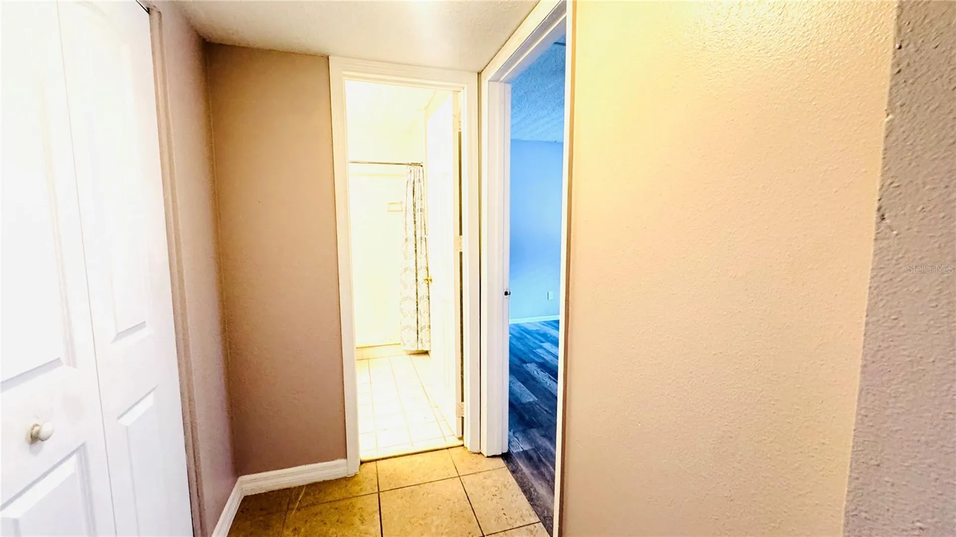 5508 Pokeweed Court Tampa FL 33617