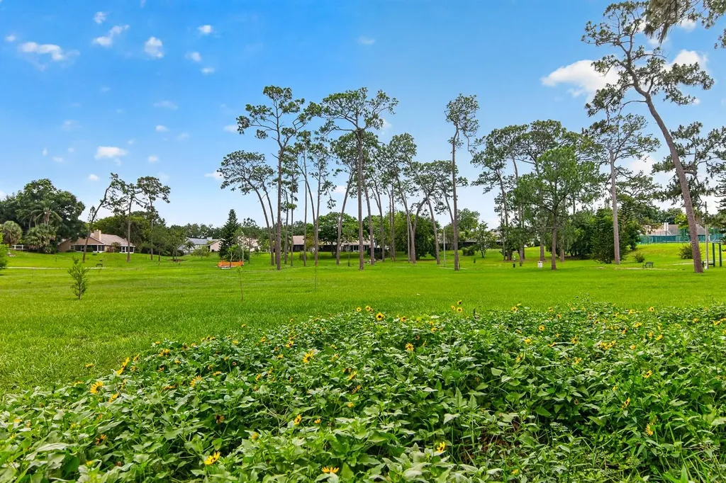 2728 Bentley Drive Palm Harbor FL 34684
