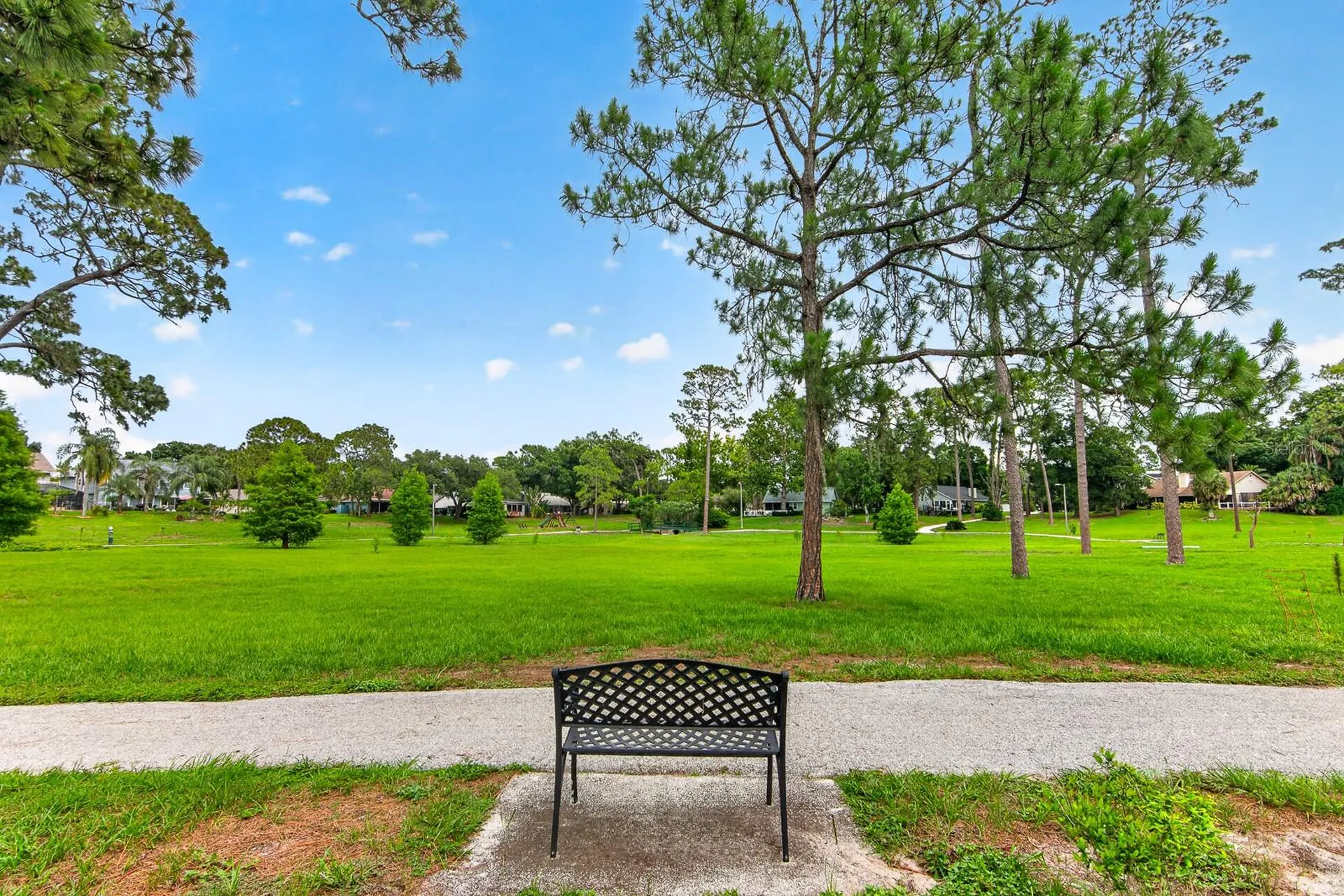 2728 Bentley Drive Palm Harbor FL 34684