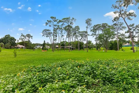 2728 Bentley Drive Palm Harbor FL 34684