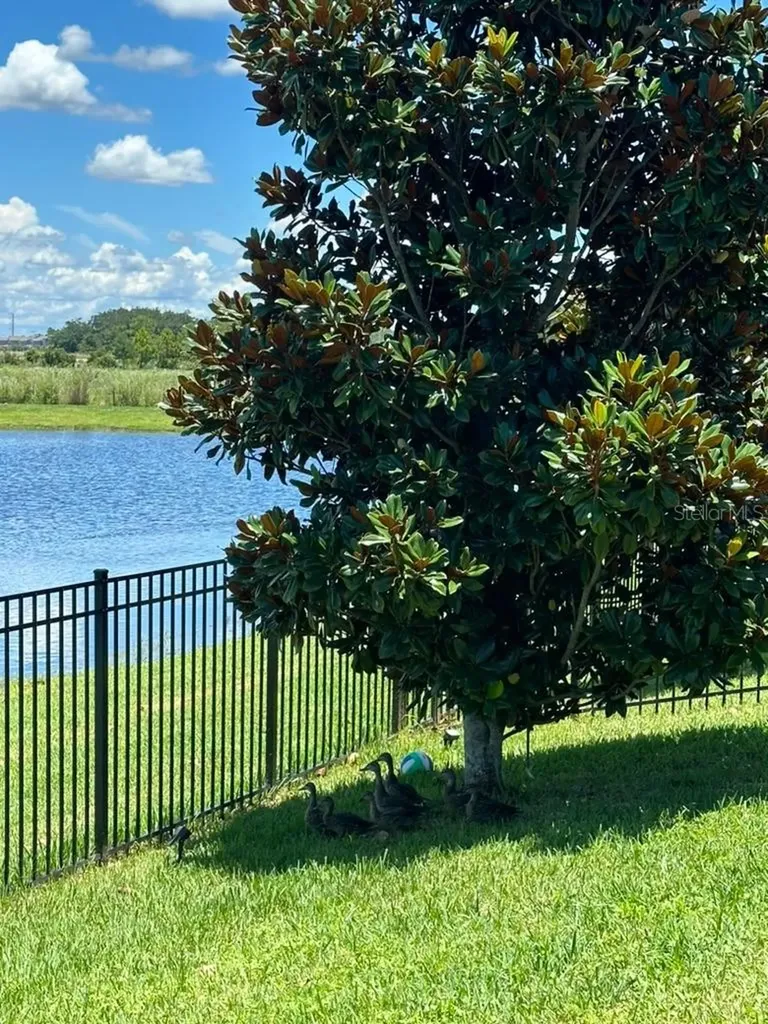 11819 Imaginary Way Orlando FL 32832