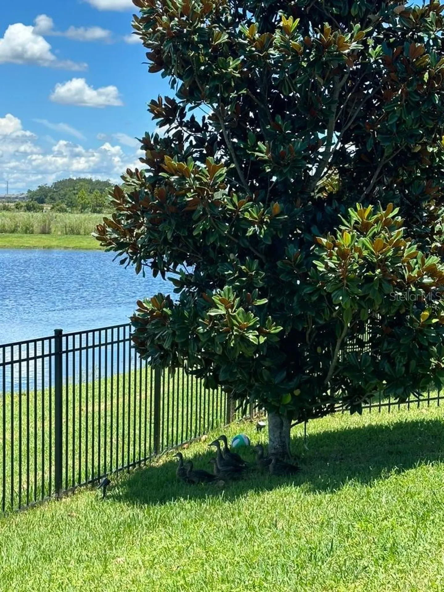 11819 Imaginary Way Orlando FL 32832