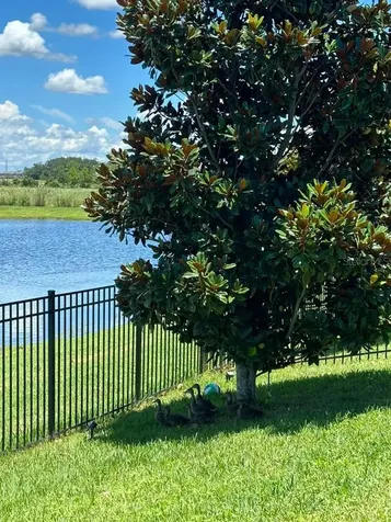 11819 Imaginary Way Orlando FL 32832