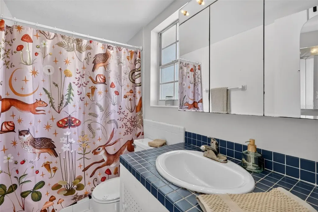 1811 Hilltop Drive Mount Dora FL 32757