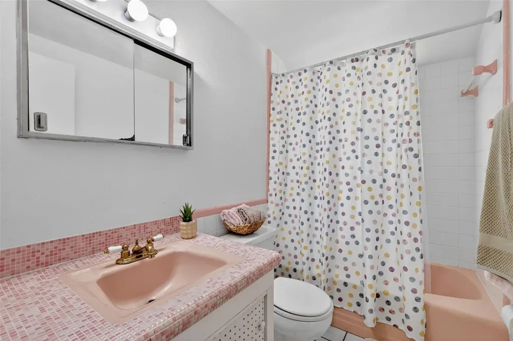 1811 Hilltop Drive Mount Dora FL 32757