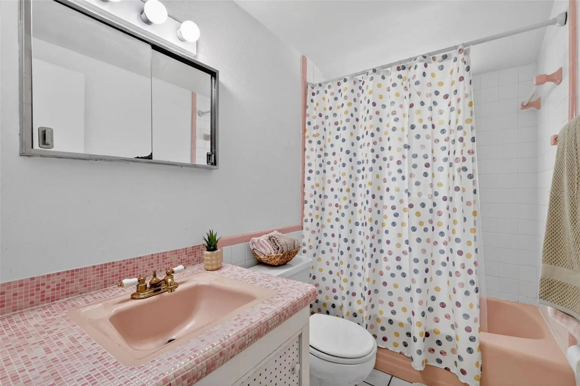 1811 Hilltop Drive Mount Dora FL 32757