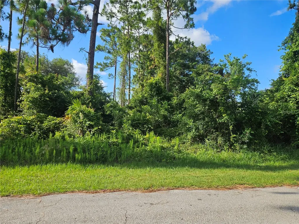 2318 Whitehorse Street Deltona FL 32738