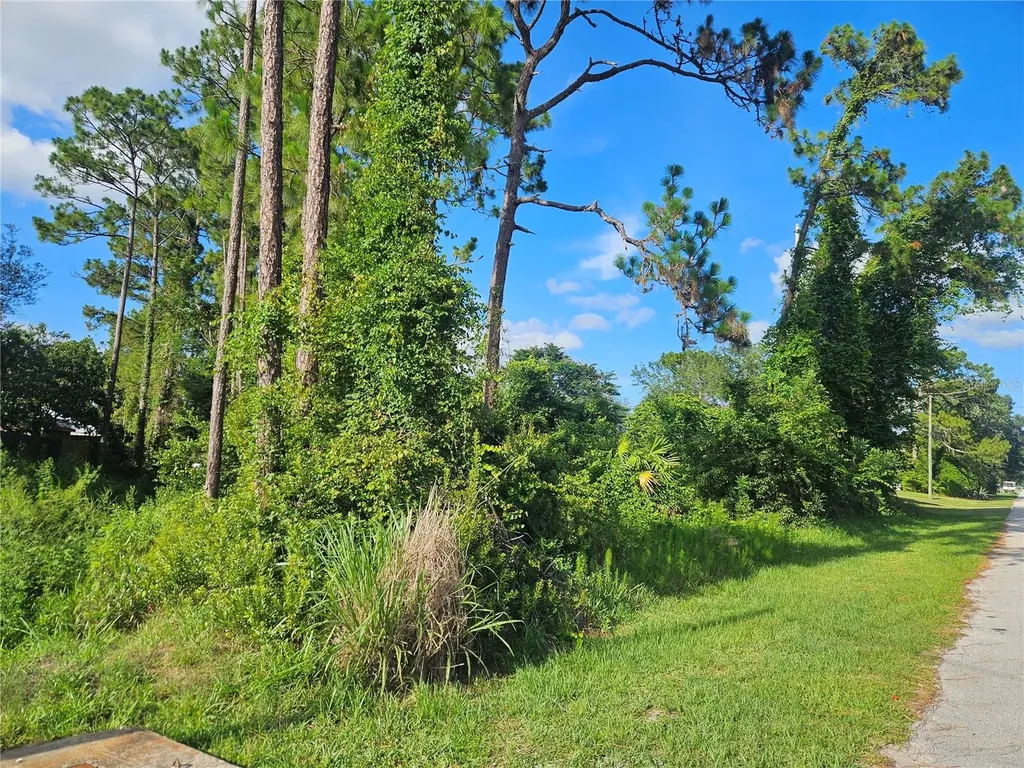 2318 Whitehorse Street Deltona FL 32738