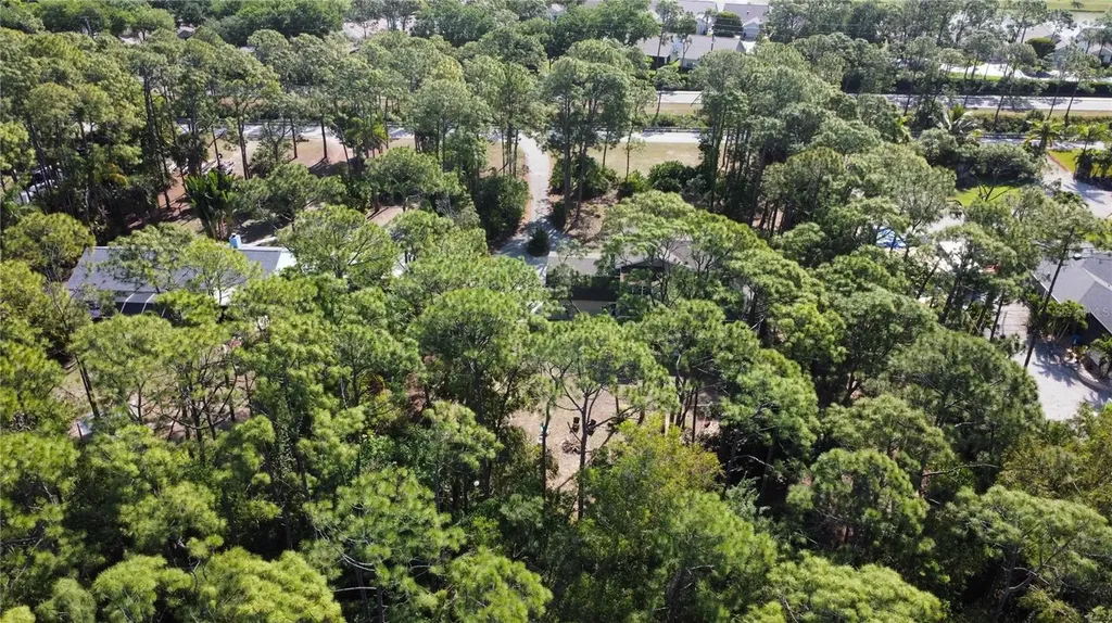 25461 Luci Drive Bonita Springs FL 34135