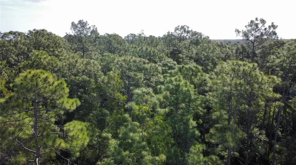 25461 Luci Drive Bonita Springs FL 34135
