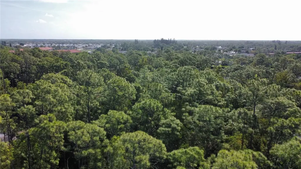 25461 Luci Drive Bonita Springs FL 34135