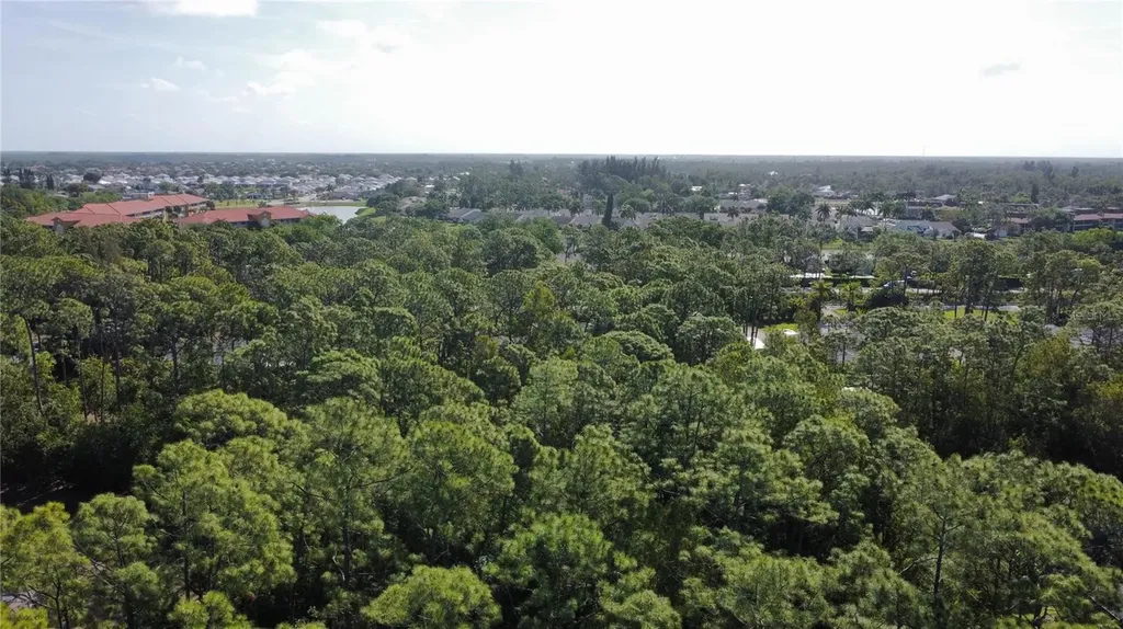 25461 Luci Drive Bonita Springs FL 34135