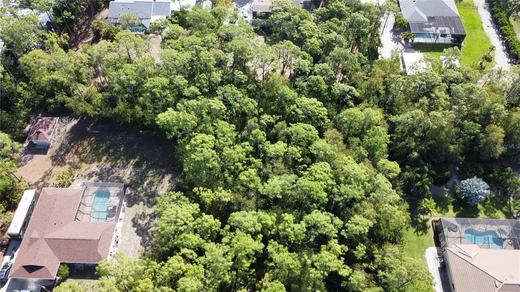 25461 Luci Drive Bonita Springs FL 34135