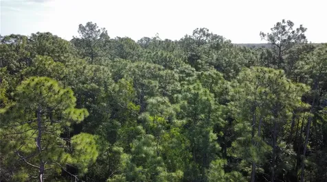 25461 Luci Drive Bonita Springs FL 34135