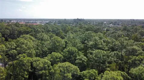 25461 Luci Drive Bonita Springs FL 34135