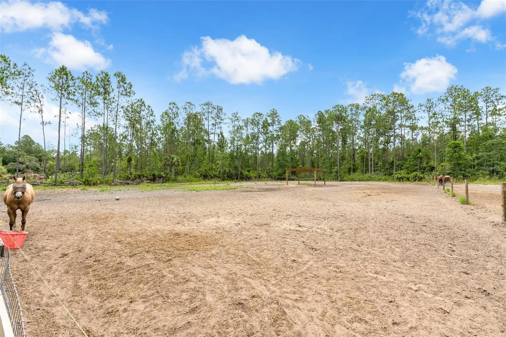 4823 Mahogany Boulevard Bunnell FL 32110