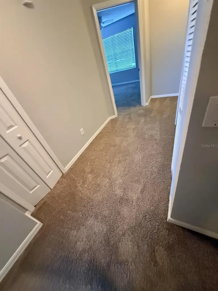 10918 Winter Crest Drive Riverview FL 33569