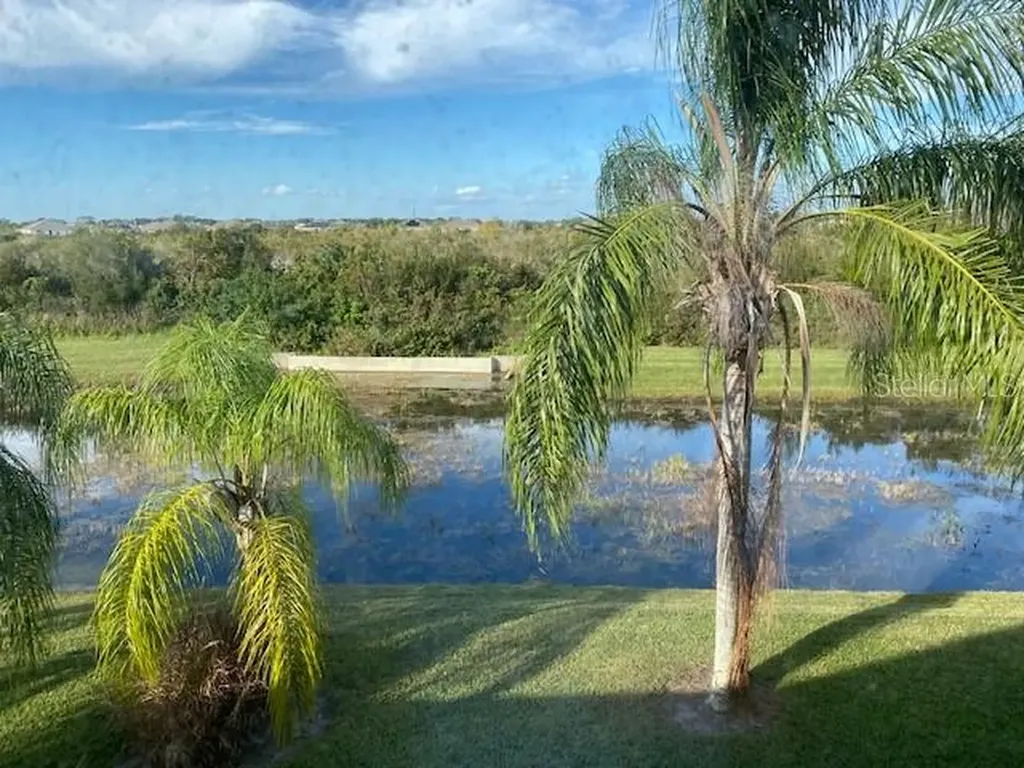 10918 Winter Crest Drive Riverview FL 33569